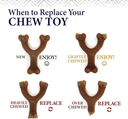 Nylabone Gourmet Style Strong Chew Toy Bundle, Toys for Dogs, Baby Back Ribs & Aged Cheddar Flavor, Large - Up to 50 lbs, 2 Pack