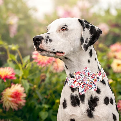 Lionheart glory Dog Collar Flowers Collar Floral Dog Collar with Flower Spring Summer Cute Collar Dog Boy or Girl Dog Collars Soft Durable Adjustable Dog Collars for Large Dogs