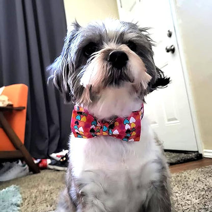 Lionheart glory Valentine's Dog Collar, Dog Collars with Bow, Pet Collar Adjustable Dogs Bowtie Pet Collars for Small Dogs