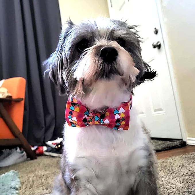 Lionheart glory Valentine's Dog Collar, Dog Collars with Bow, Pet Collar Adjustable Dogs Bowtie Pet Collars for Large Dogs