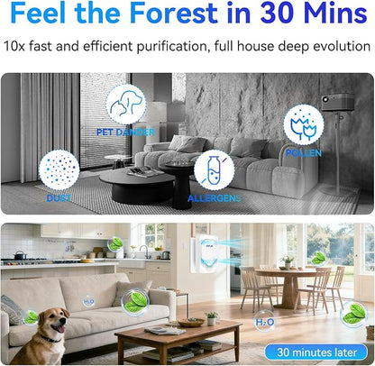 4Pack Plug in Air Ionizer, Negative Ion Air Purifier Plug In, Mini Filterless Air Freshener Quiet Air Cleaner Portable Air Purifiers Odors Smoke for Home Office, Bedroom, Bathroom