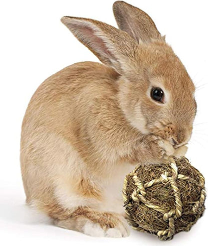 SunGrow Assorted Rabbit & Cat Chew Balls, Teething Activity Toy for Pocket Pets, Improves Dental Health, Environment Friendly, Stress Reliever (Coco Fiber, 6 Pcs)