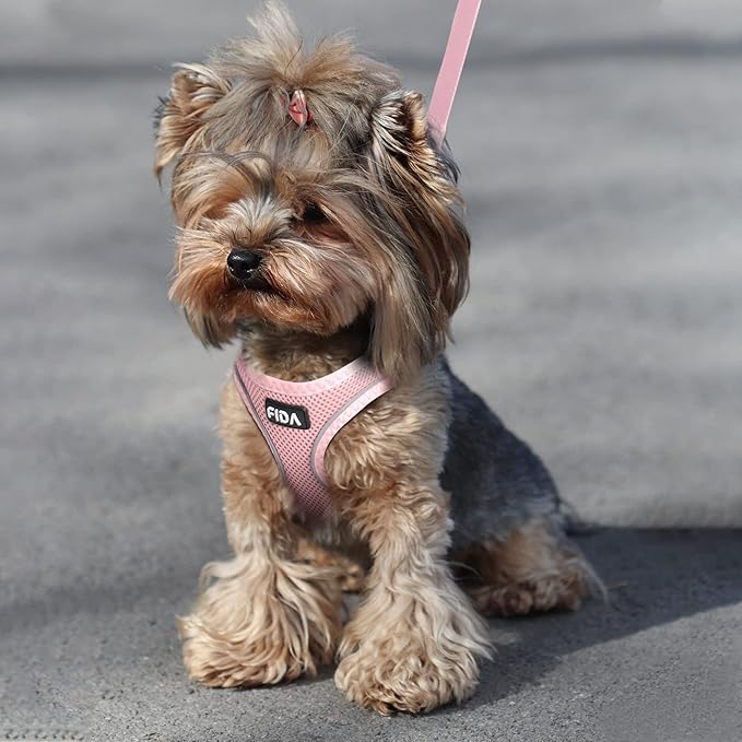 Fida Comfy Dog Harness with Leash, Soft Puppy Vest Escape Proof, Breathable Lightweight Soft Mesh, Adjustable Reflective Step-in Harness for Small Dogs Walking (S, Pink)