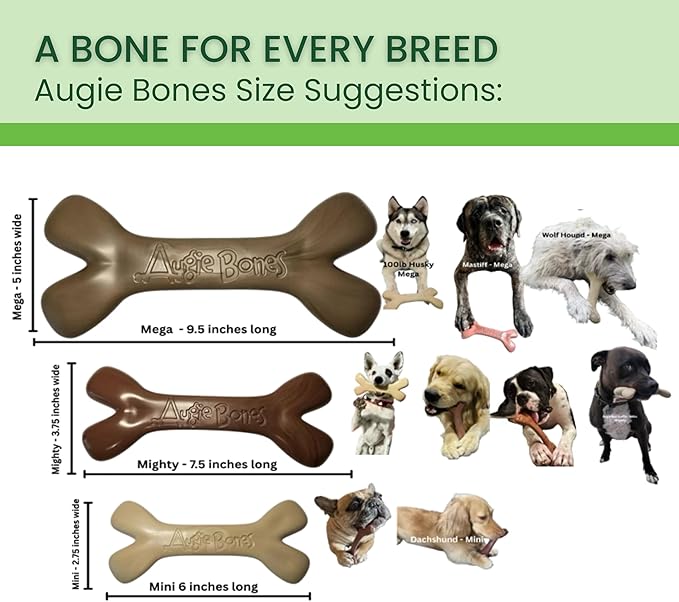 2-Pack Non-Toxic Dog Toys - Sustainable Beef Flavored Dog Chew Toys for Aggressive Chewers - Plant-Based Bioplastic Pet Toys - Made in The USA (Mighty)