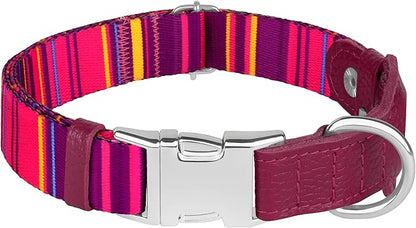 AirTag Dog Collar for Small Medium Large Breed - Adjustable Cute Pattern Dog Collar with Airtag Holder - Soft Leather Tracker GPS Apple Air Tag Pet Collars (X-Large, 20"-25" Neck Fit, Striped)