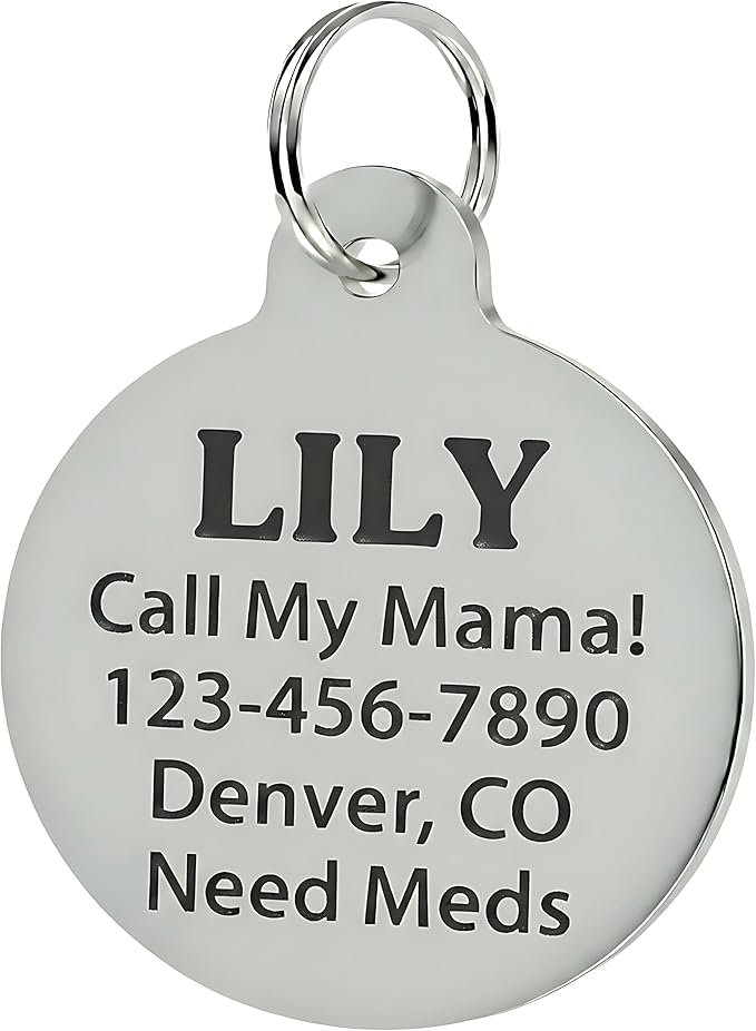 Bad Tags Personalized Dog and Cat ID Tags in 25+ Designs and 2 Sizes - 5 Lines of Custom Engraved Text - Funny Cute Personalized Pet Tags (I Bark at Karens, Large (1.25 inch))