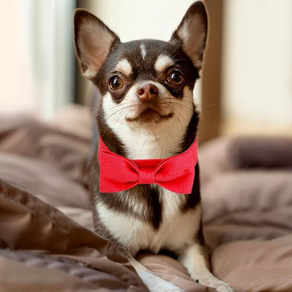 Segarty Dog Bow Ties for Small Medium Dogs Neck Girth 10.2-14.2in, Adjustable Red Bowtie Collar Cat Necktie Comfortable Cotton Girl Pet Grooming Accessory for Formal Wedding Holiday Birthday Valentine