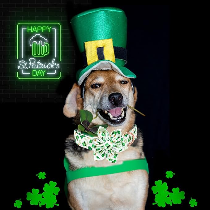 Lionheart glory St. Patrick's Day Dog Collar with Flower Dogs Collar,Soft Green Lucky Clover Shamrock Dog Collars Flower for Small Dogs Puppy Soft Collars Bows Heavy Duty