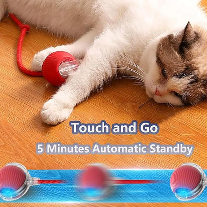 Interactive Cat Toys for Indoor Cats, Agility Move Cat Balls,Motion Activated Cat Balls, Cat Toys for Bored Indoor Cats (Blue)