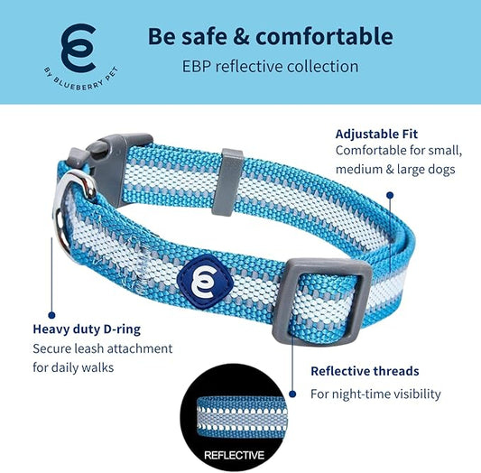 Blueberry Pet Essentials Matching Small Dog Collar | Adjustable Classic Solid Color Nylon Dog Collars for Small Dogs | Reflective Sky Blue Dog Collar for Small Dogs