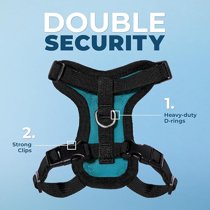 Voyager Escape-Proof Step-in Lock Cat Harness & 5ft Neoprene-Handle Leash Set All-Weather Mesh with Reflective Stitching for Small to Large Cats by Best Pet Supplies, Turquoise/Black Trim, XS