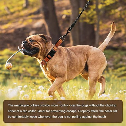 Hikiko Martingale Dog Collars Reflective Nylon Dog Collar with Quick Release Buckle Adjustable Training No Slip Dog Collar (Large, Orange)