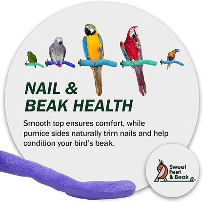 Sweet Feet & Beak Safety Pumice Bird Perch, Medium 1-1/4" X 12", Blue - Lightweight Grinding Bird Perches for Cage - Bird Nail Trimming Perch for Healthy Beak & Feet - Multi-Size & Color Parrot Stand