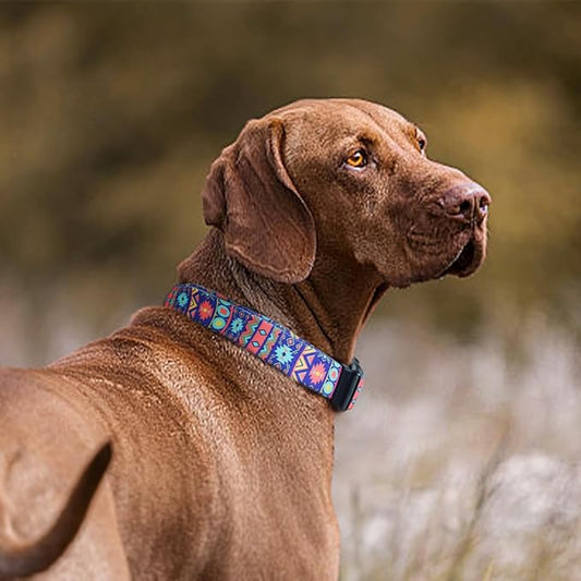 QQPETS Adjustable Soft Dog Collar: Print Flower Pink Multicolor Cute Patterns for XS Small Medium Large Pet Girl Boy Puppy Walking Running Training