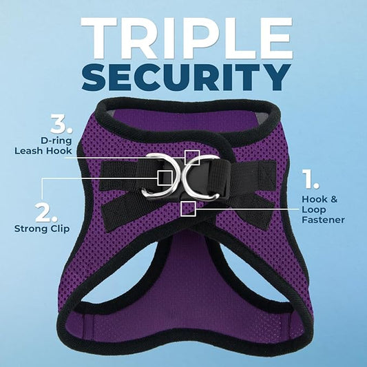 Best Pet Supplies Voyager Step-in Air All Weather Mesh Harness and Reflective Dog 5 ft Leash Combo with Neoprene Handle, for Small, Medium and Large Breed Puppies - Purple/Black Trim, Large