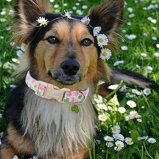 St Patricks Day Dog Collar for Medium Dogs - Cute Light Pink Shamrock Girl Dog Collars, Adjustable Irish Clover Puppy Collar with Quick Release Buckle M