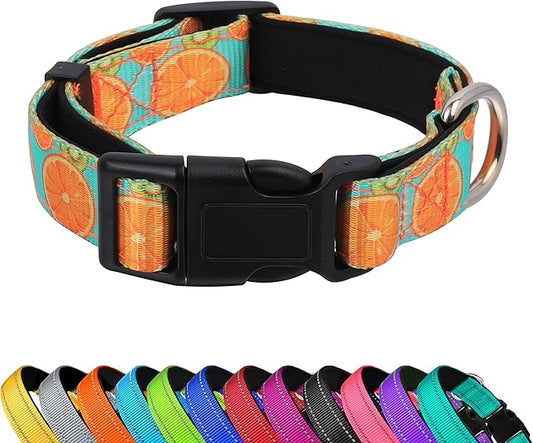Reflective Dog Collar, Adjustable Soft Neoprene Padded Nylon Pet Collars with Buckle for Puppy and Small Dogs, Cats, Summer Lemon,L