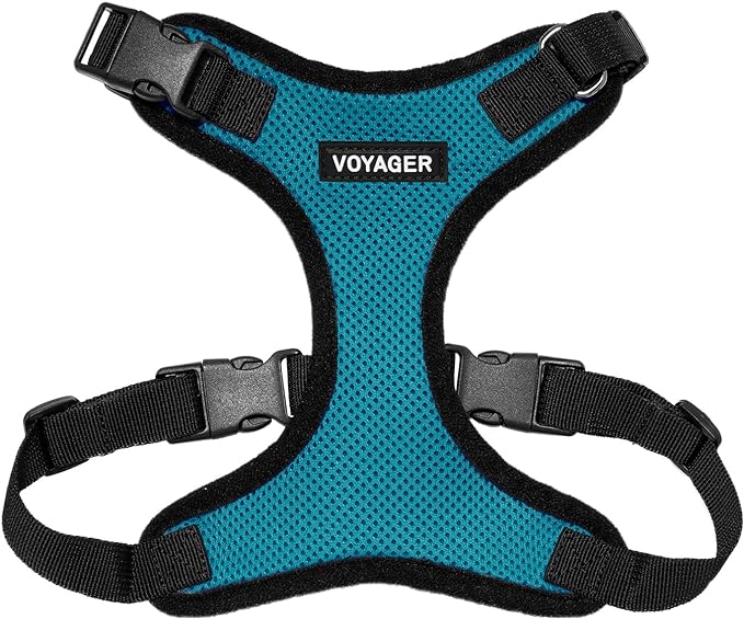 Voyager Step-in Pet Harness - All Weather Mesh, Adjustable Step in Harness for Cats and Dogs by Best Pet Supplies - Turquoise/Black Trim, M