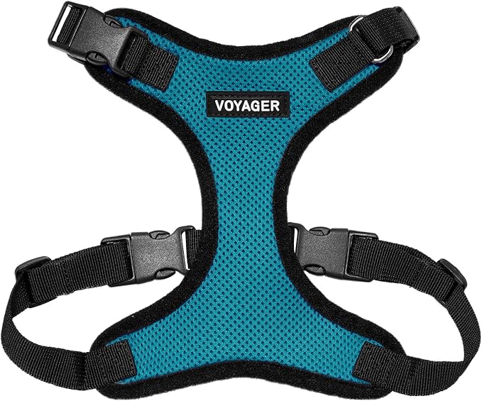 Voyager Step-in Pet Harness - All Weather Mesh, Adjustable Step in Harness for Cats and Dogs by Best Pet Supplies - Turquoise/Black Trim, XL