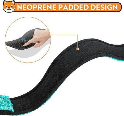 Reflective Dog Collar, Adjustable Soft Neoprene Padded Nylon Pet Collars with Buckle for Extra Large Dogs, Teal,XL
