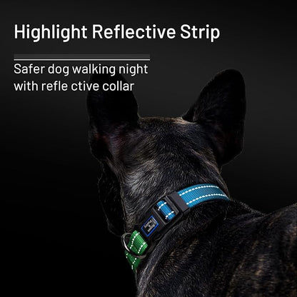 Roses&Poetry Large Dog Collar, Adjustable Reflective Durable Pet Collars for Small Medium Large Dogs (Bluegreen-L)