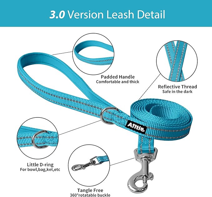 AIITLE Step in Dog Harness and Leash Set - No Pull Escape Proof Vest Harnesses with Soft Mesh and Reflective Bands, Adjustable Pet Outdoor Harnesses for Small and Medium Dogs Hot Pink M