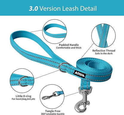 AIITLE Step in Dog Harness and Leash Set - No Pull Escape Proof Vest Harnesses with Soft Mesh and Reflective Bands, Adjustable Pet Outdoor Harnesses for Small and Medium Dogs Hot Pink M