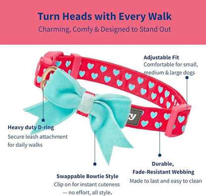 Blueberry Pet Valentines Day Dog Collar with Velvety Bowtie, Heart in Lust Red, Small, 12"-16" Neck, Adjustable, Eco-Friendly, Dog Collars for Medium Dogs & Small Dogs, Puppy Collar