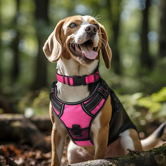 Joytale Reflective Dog Collar, Soft Neoprene Padded, Metal D-Ring, Nylon Pet Collar Adjustable for Extra Large Dogs, Hotpink, XL