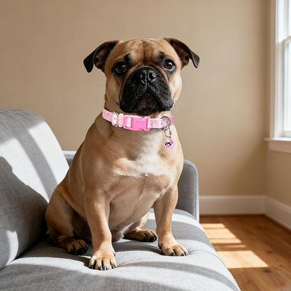 Pink Puppy Collar with Bell -Nylon Collar for Chihuahua Pomeranian Yorkie, Adjustable XXS/XS for Walks & Daily Play (Daisy XS)