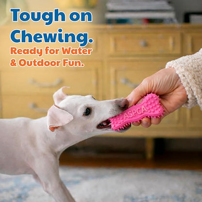 ASPCA 2-Pack Spiky TPR Puppy Teether Bones – Vanilla-Scented Teething Toys for Gum Relief, Gentle Chewing & Interactive Play
