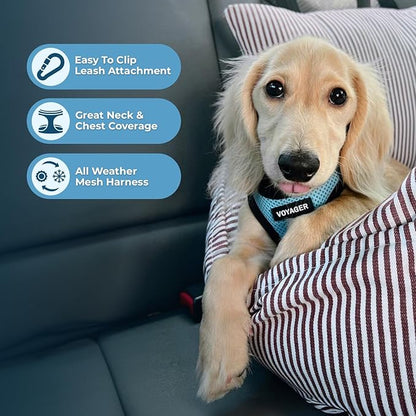 Best Pet Supplies - All Weather Mesh / Plush, Reflective, No Pull Harness for Small, Medium Dogs, Cats - Secure with Hook & Loop Fastener, Buckle, Double D-Rings - Baby Blue/Black Trim, M