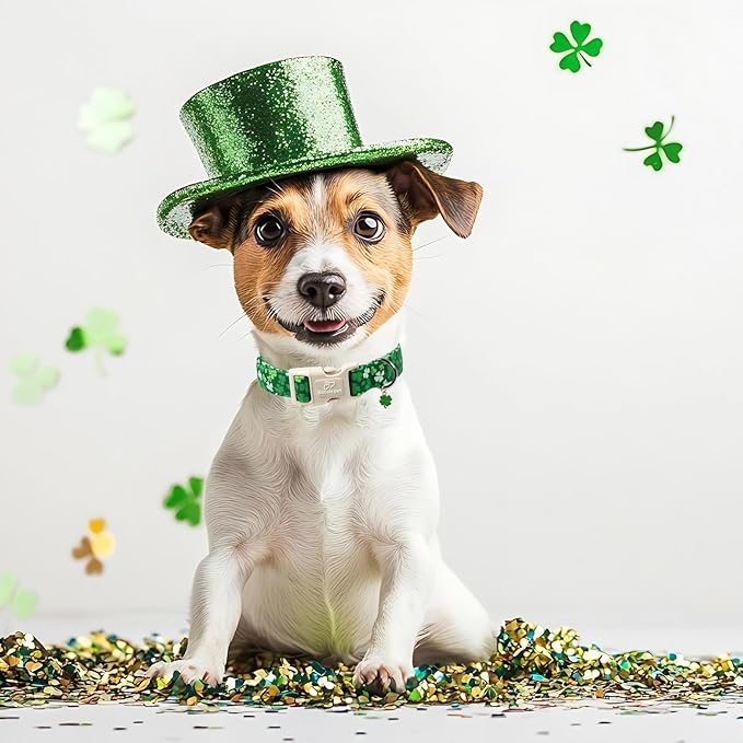 St. Patrick's Day Dog Collar for Large Dogs - Bold Green Lucky Clover Dog Collars, Cute Irish Party Shamrock Puppy Collar, Lightweight Adjustable St. Patricks Day Pet Collars L