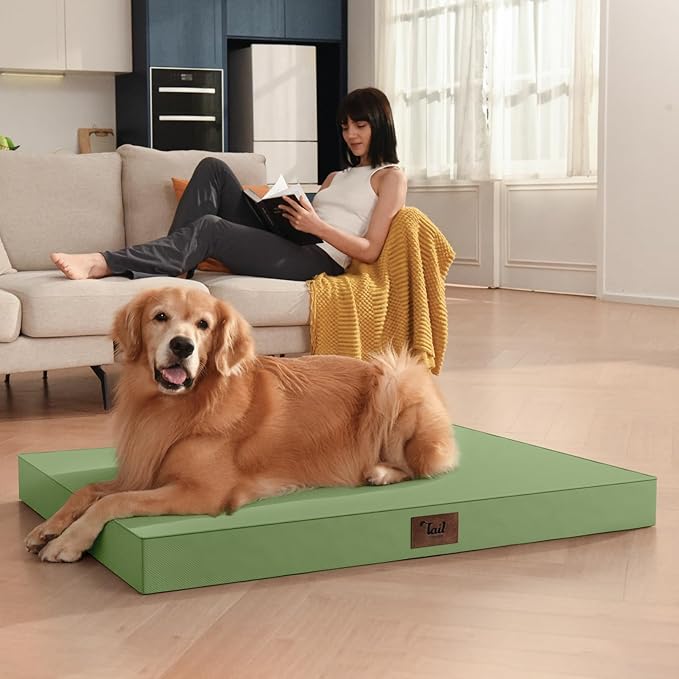 Outdoor Large Washable Dog Bed, Orthopedic Egg Crate Foam Dog Crate Mat for Large Dogs with Removable Oxford Cooling Cover, Light Green