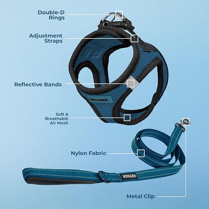 Best Pet Supplies Voyager Step-in Air All Weather Mesh Harness and Reflective Dog 5 ft Leash Combo with Neoprene Handle, for Small, Medium and Large Breed Puppies - Blue/Black Trim, X-Small