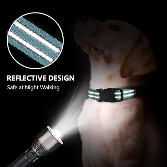 Hikiko Martingale Dog Collars Reflective Nylon Dog Collar with Quick Release Buckle Adjustable Training No Slip Dog Collar (Medium, Sky Blue)