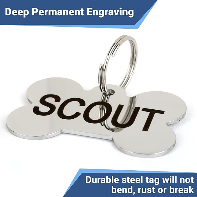 GoTags Stainless Steel Pet ID Tags, Personalized Dog Tags and Cat Tags, up to 8 Lines of Custom Text, Engraved on Both Sides, in Bone, Round, Heart, Bowtie and More (Round, Small (Pack of 1))