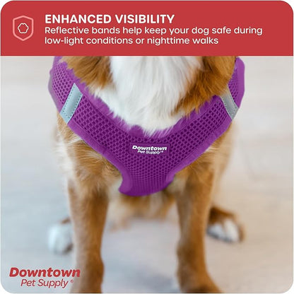 Downtown Pet Supply Step-in Dog Harness – No Pull, Adjustable Padded Mesh with Reflective Trim, Secure Buckle Strap – Comfortable & Breathable Small Dog Harness, XX-Small, Purple