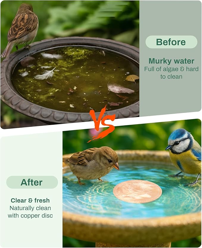 Bird Bath Purification Disk Pure Copper Outdoor Winter Solar Power Birdbath Heater Deicer Cage Hanging Bowl Metal Warmer Deck Railing Glass Concrete Ceramic Stone Stand Water Sunflower Bird