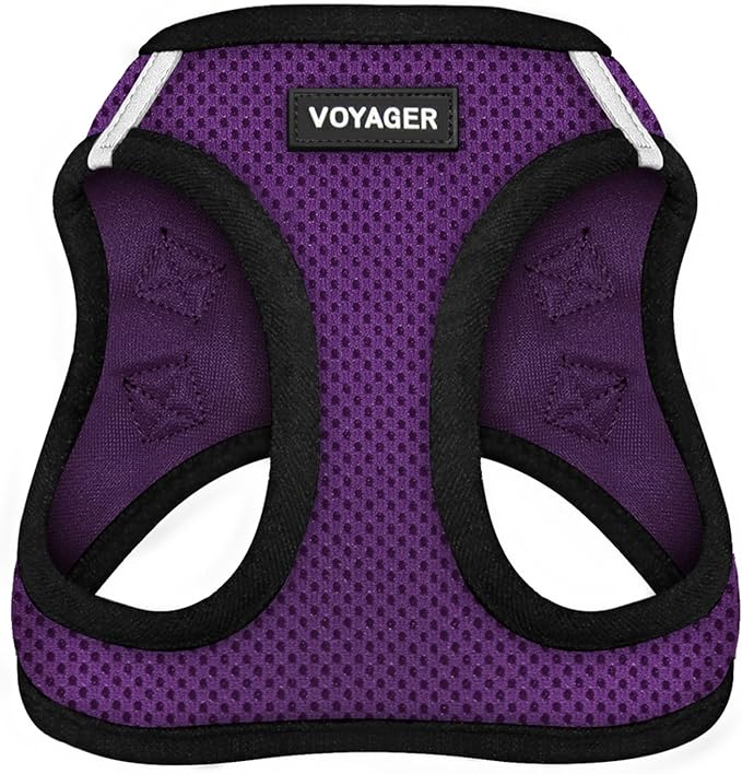 Best Pet Supplies Voyager Step-in Air Harness - All Weather Mesh, Reflective, No Pull Harness for Dogs, Cats - Secure with Hook & Loop Fastener, Buckle, Double D-Rings - Purple/Black Trim, L