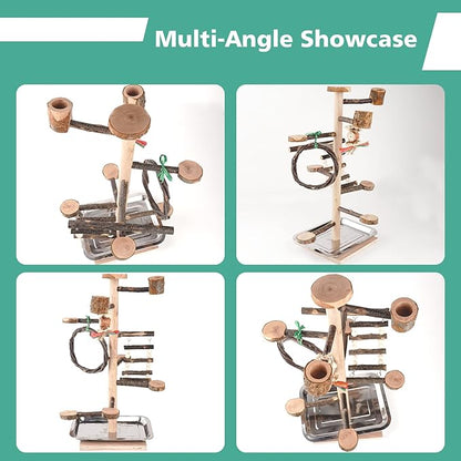 HOSUKKO Bird Playground Parrots Play Stand Wood Perches Stand, Bird Gym Playpen Platform Ladder with Feeder Cups for Cockatiels Budgies Lovebirds, Brown
