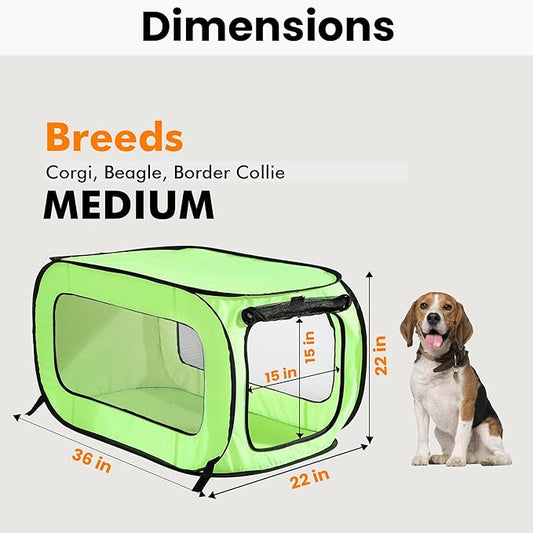 Beatrice Home Fashions Portable, Collapsible, Pop Up Kennel Travel Cat and Dog Crate, 36" L x 22" W x 22" H, Green