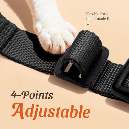 Dooradar Cat Harness and Leash Set, Escape Proof Safe Adjustable Kitten Vest Harnesses for Walking, Easy Control Soft Breathable Mesh Jacket with Reflective Strips for Cats, Black, XS