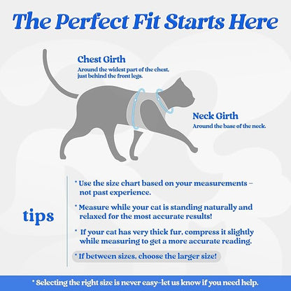 rabbitgoo Cat Harness and Leash Set for Walking Escape Proof, Adjustable Soft Kittens Vest with Reflective Strip for Cats, Comfortable Outdoor Vest,Blue,L