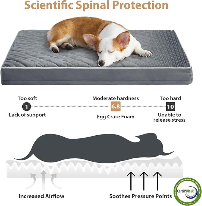 WNPETHOME Orthopedic XXL Dog Beds Large Sized Dog, Waterproof Extra Large Dogs Bed with Removable Washable Cover, Multi-Needle Quilting Dogs Crate Bed