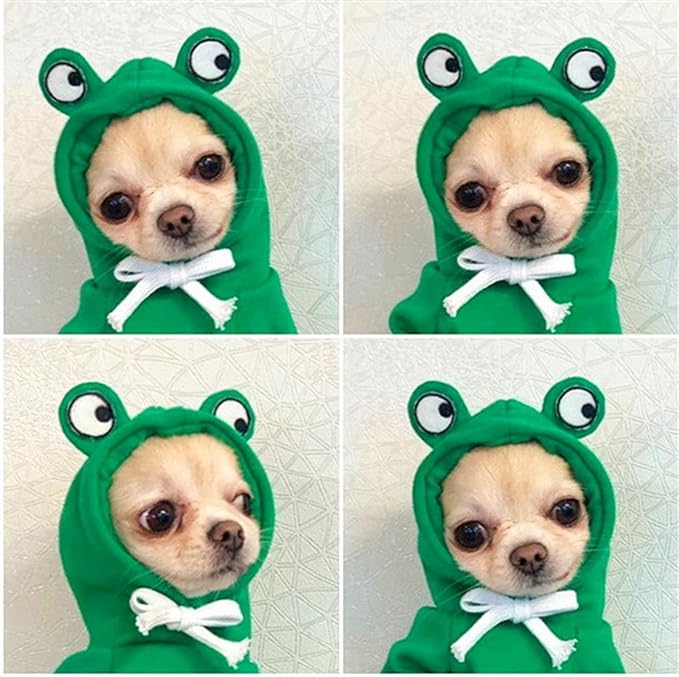 Warm Dog Winter Clothes Cute Fruit Dog Coat Hoodies Fleece Pet Dogs Costume Jacket for French Bulldog Chihuahua Ropa para Perro(Green,L)