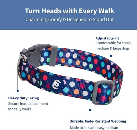 Blueberry Pet Essentials Rainbow Polka Dots Adjustable Dog Collar, Small, Neck 12"-16"
