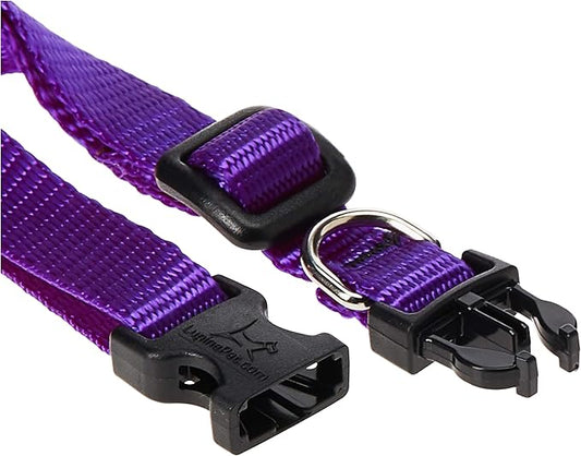 LupinePet Basics 1/2" Purple 8-12" Adjustable Collar for Small Dogs