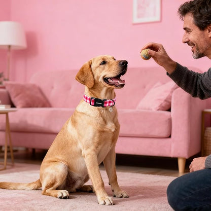 DOGWONG Pink Checkered Dog Collar, Cute Pink Plaid Dog Collars, Adjustable Girl Female Pet Collars Design Dog Collar for Small Medium Large Dogs