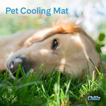 The Green Pet Shop Chillz Gel Mat, Medium - Pressure-Activated Cooling Pad for Pets 0-25 lbs - Non-Toxic, No Water or Refrigeration Needed - Ideal for Home, Travel & Crates